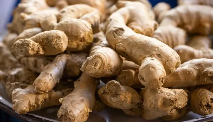 Cara Mengolah Jahe untuk Kesehatan: Khasiat dan Resep Praktis