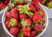Manfaat Buah Stroberi untuk Kesehatan: Superfood Lezat dan Menyehatkan