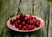 Cherry: Buah Kecil dengan Manfaat Besar untuk Kesehatan